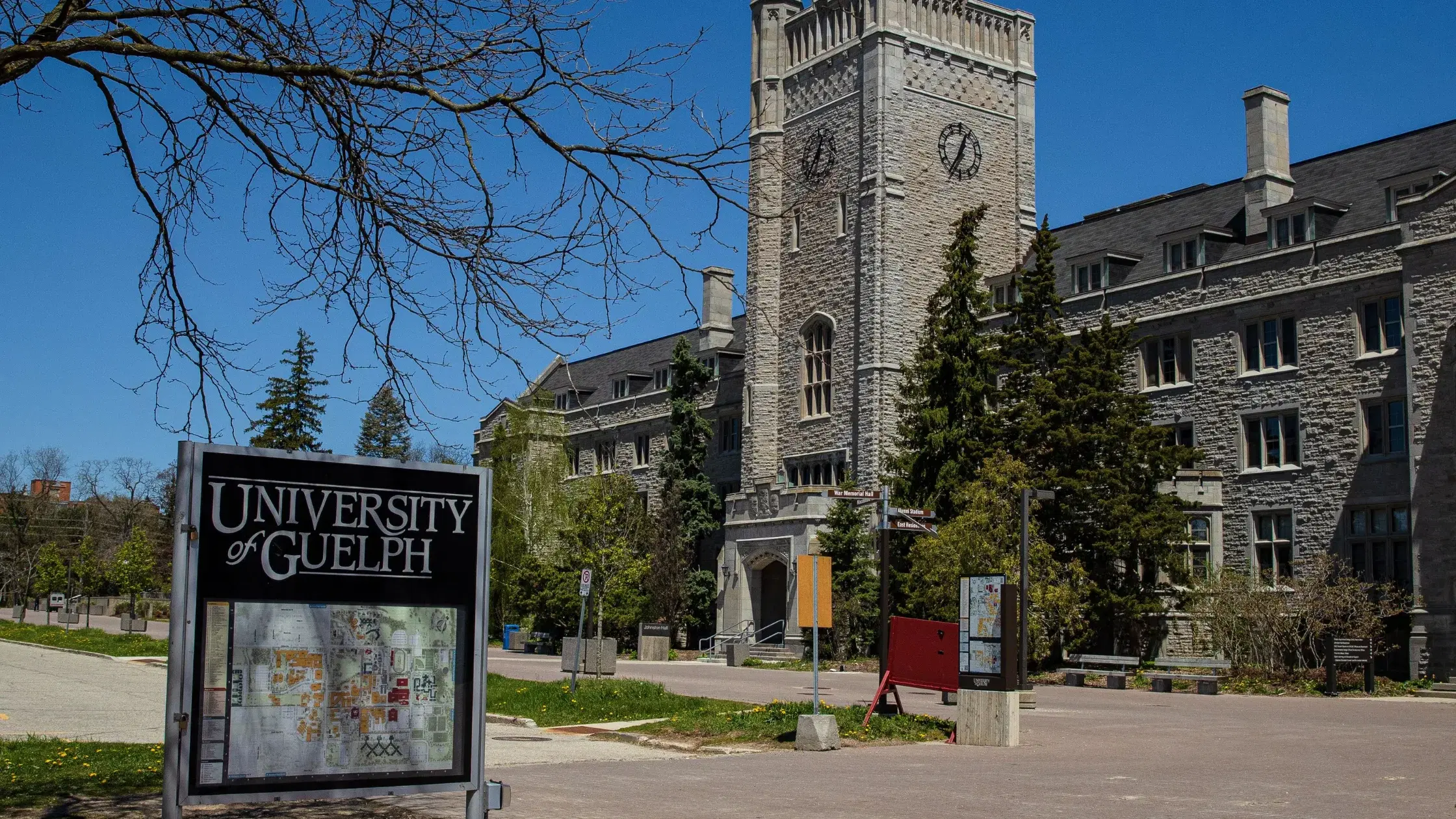 University of Guelph Acceptance Rate 2026–27