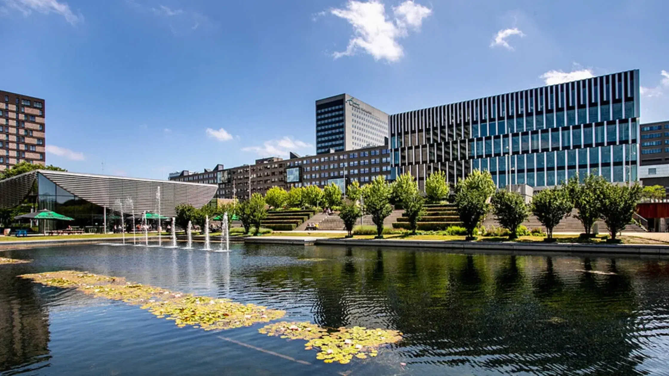 Erasmus University Rotterdam Acceptance Rate 2026–27